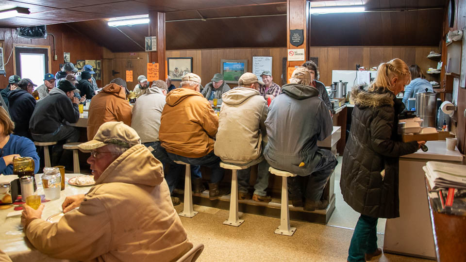 Feeder Cattle Auctions Photo Gallery Oxford Sale Barn Iowa